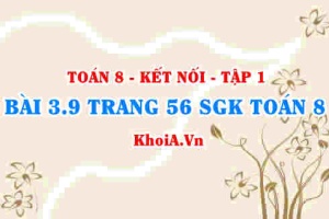 Bài 3.9 trang 56 SGK Toán 8 tập 1 Kết nối tri thức